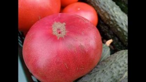 ЧТО ЖЕ ПОСАДИТЬ?