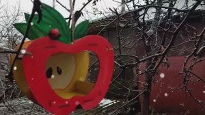 Покормите птиц зимой