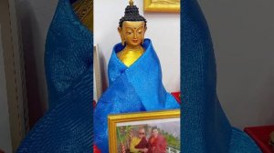 Шива лабсамб