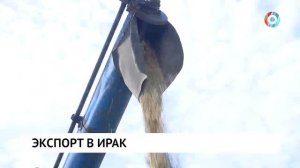 Экспорт в Ирак