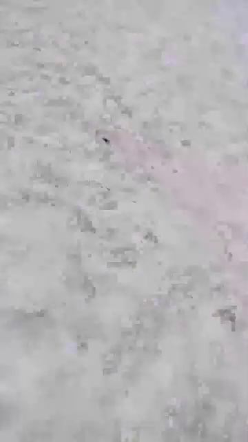 Проходим в бункер смотреть онлайн