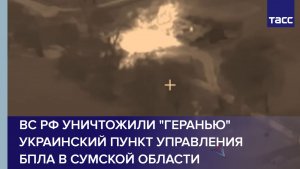 ВС РФ уничтожили "Геранью" украинский пункт управления БПЛА в Сумской области