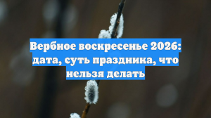 Верующие хотят знать дату Вербного воскресенья в 2026 году