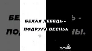 Белая лебедь