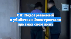 СК: Подозреваемый в убийстве в Электростали признал свою вину