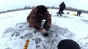 КАРАСИ КЛЮЮТ ОДИН ЗА ОДНИМ😱ОБЕД ПО РАСПИСАНИЮ😲