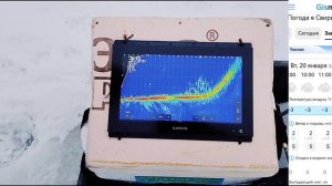 Геомагнитные возмущения на р.Свирь