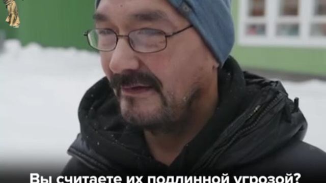 Жители Нуука (Гренландия) рассказали, что не верят в реальность угрозы со стороны России и Китая смотреть онлайн