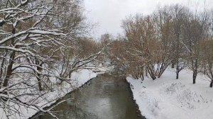 Москва. Река Яуза. Уточки. Снегопад. Январь 2026