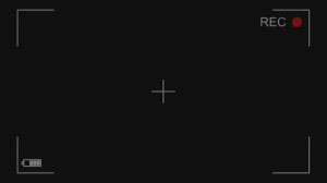 Подсадка мокриц. Плесень в формикарии. Муравьи Neoponera villosa.