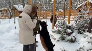 Льготные экскурсии в парк с животными проводят для тюменских семей участников СВО