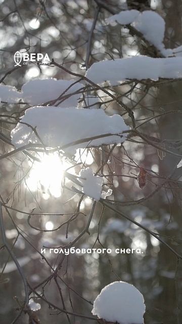 «Зимний лес» смотреть онлайн