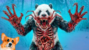 Zoochosis ПАНДА в РЕАЛЬНОЙ ЖИЗНИ! МАРСИК ВЕРНУЛ СВОЮ ПАМЯТЬ! Корги Кекс Говорящая собака