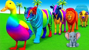 Мультики для детей. Веселая звериная ферма с Гусями и слонами. Мультики залипалки для малышей