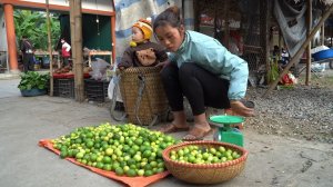 Мама поневоле. Дуонг. Домашние хлопоты и сбор яблок для продажи. Серия 34