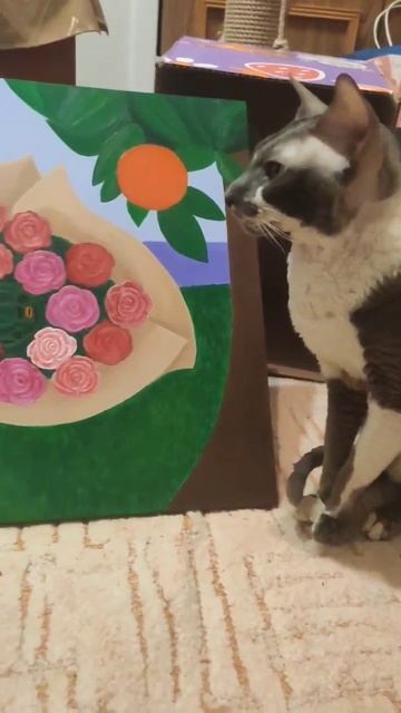 🐈 смотреть онлайн