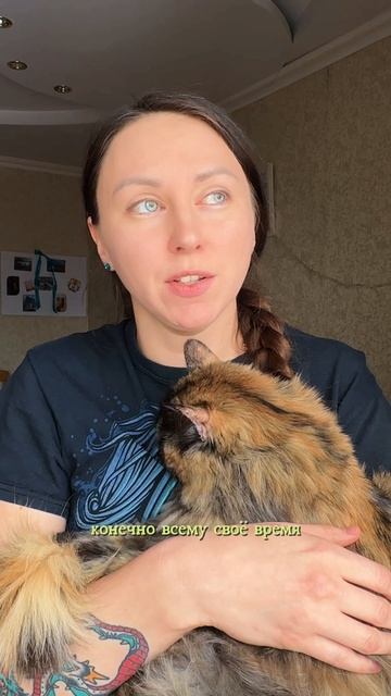 жалеете ли вы о чем-то, что не делали ранее? смотреть онлайн