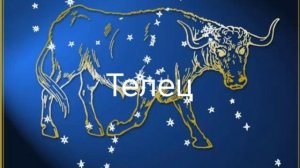 Гороскоп на февраль 2026. Телец