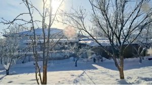 1007 Жизнь в станице на Юге в аномальные морозы.Наследство от Свекрови.Руки чешутся. Что буду сажать