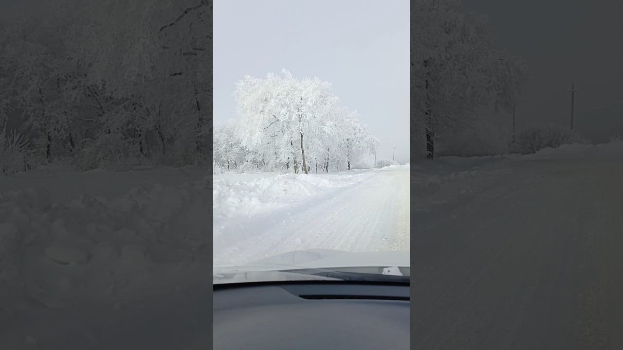 Крещенские снега под Анапой.. #зима #travel #анапаснег смотреть онлайн