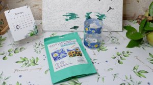 СП "Рисуй как Ван Гог с Катериной Шурм" Отчет января.