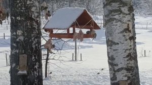 Говорят наши дети