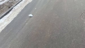 ахахахах я убил тупого хейтера который постоянно мне ставит дизлайки! я правильно сделал? 👇