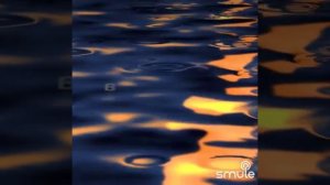 Подмосковные вечера