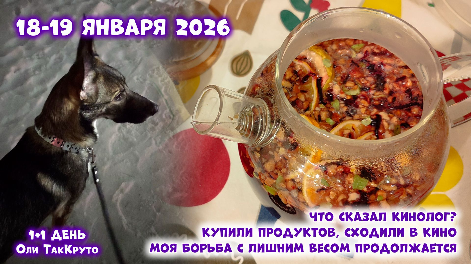 Встреча с кинологом. Работали, ходили в кино, покупали продукты. 18-19 января 2026, день с ТакКруто смотреть онлайн