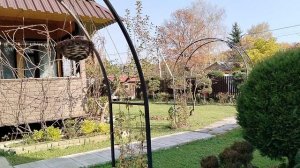 Наш сад в октябре, солнечный день