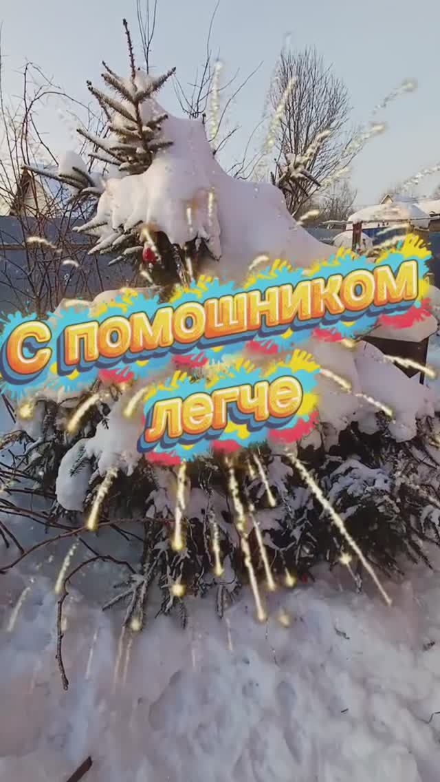 С лайкой весело 🐕😉 смотреть онлайн