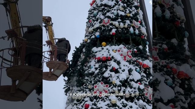 🎄 Во Владимире начался демонтаж новогодних елей смотреть онлайн