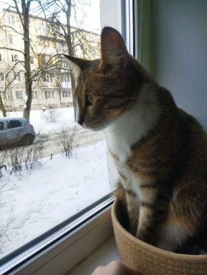 буууууусяяяяяяяя