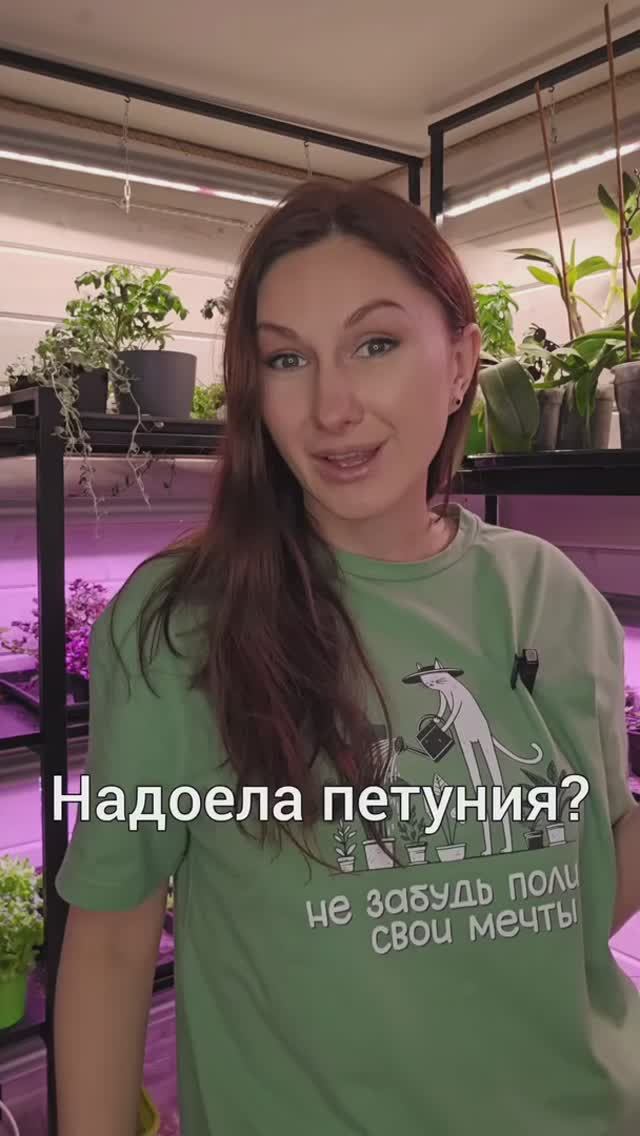 Надоела петуния? Хочется чего-то новенького на участке этим летом? смотреть онлайн