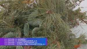 В Серпухове можно сдать ёлку на переработку
