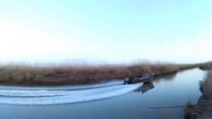 Рыбалка на сазана