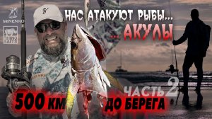 ЛОВИМ В ОКЕАНЕ: ДЕНЬ ТУНЦА. КТО ЕЩЁ ОХОТИЛСЯ ЗА НАШЕЙ РЫБОЙ?