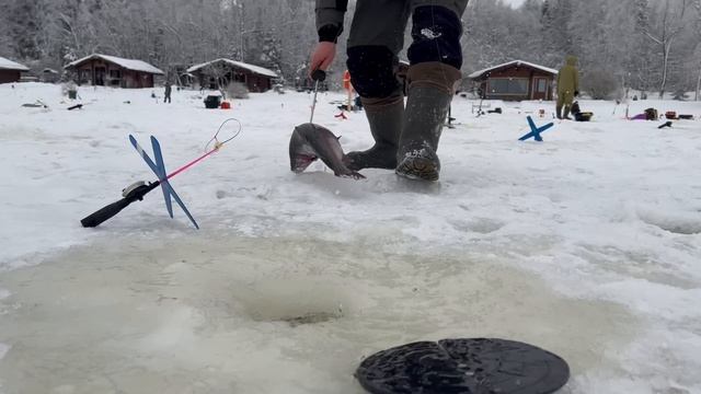 Видеообзор с водоёма смотреть онлайн