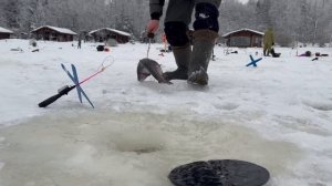 Видеообзор с водоёма