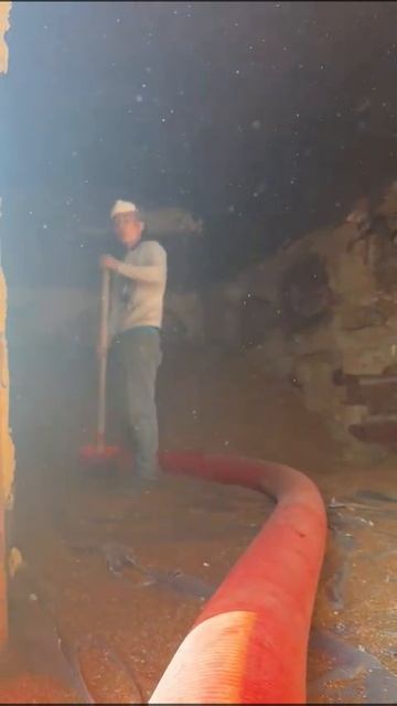 Гибкий шнековый загрузчик D160 спиральный