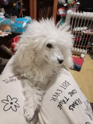 просто стрим