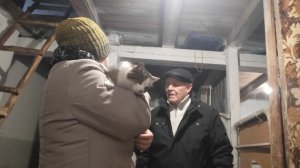 Васю не узнать //какие продукты купил муж //с грудки толькоБАСТУРМУ//