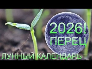 Самый точный лунный календарь на посадку рассады перца в 26 году! Январь, февраль, март и апрель!