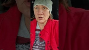 Может построим укрытие для бездомных собак