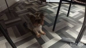 20-01-2026. Жизнь в деревне.Приготовила обед .На  улице морозит.