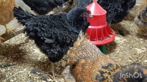 20-01-2026. Выходной не получился 🙄