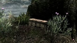 The Elder Scrolls V: Skyrim.  Клад у Чистых Сосен. Прохождение от SAFa