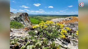 Михаил Развожаев поздравил крымчан с Днём Республики Крым