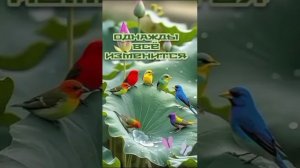 Cut_YouCut_20260120_202953536.mp4