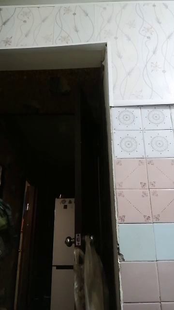 Реклама (вернее-пародия на неё). смотреть онлайн